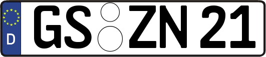 GS-ZN21