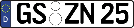GS-ZN25