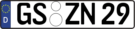 GS-ZN29