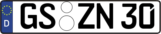 GS-ZN30