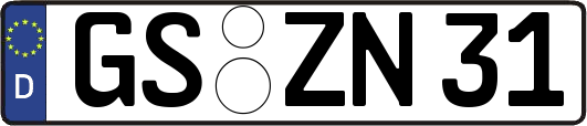 GS-ZN31