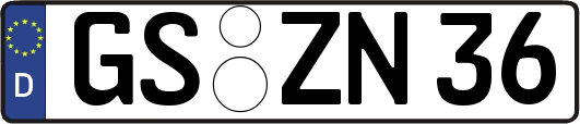 GS-ZN36