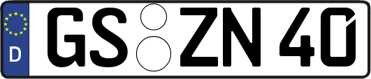 GS-ZN40
