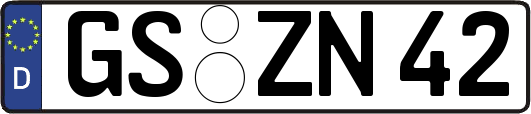GS-ZN42
