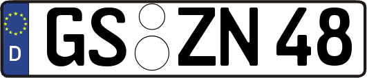GS-ZN48