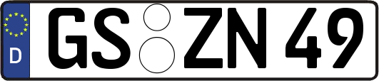 GS-ZN49
