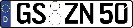 GS-ZN50