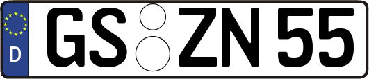 GS-ZN55
