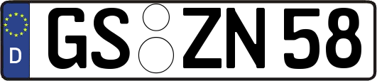 GS-ZN58