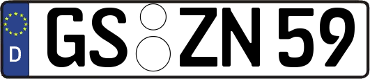 GS-ZN59