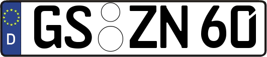 GS-ZN60
