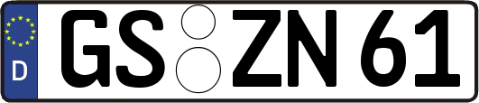 GS-ZN61