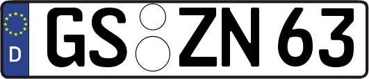GS-ZN63
