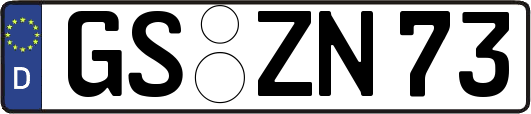 GS-ZN73