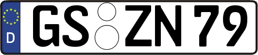 GS-ZN79