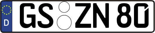 GS-ZN80