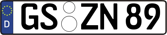 GS-ZN89