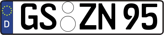 GS-ZN95