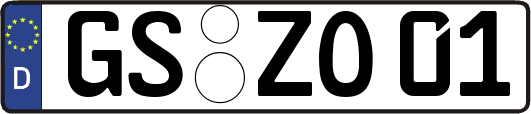 GS-ZO01