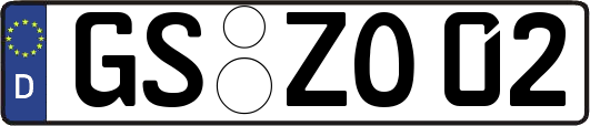 GS-ZO02