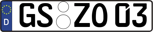 GS-ZO03