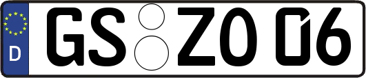 GS-ZO06