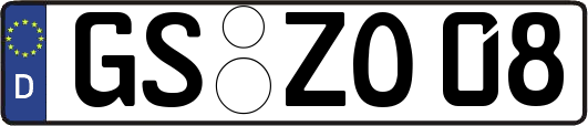 GS-ZO08