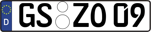 GS-ZO09