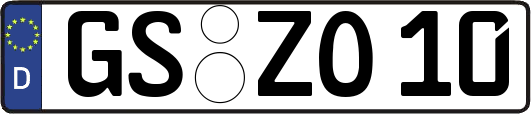 GS-ZO10