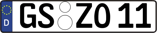 GS-ZO11