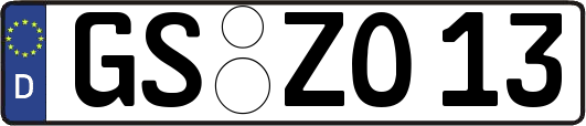 GS-ZO13