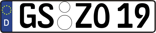 GS-ZO19