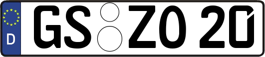 GS-ZO20