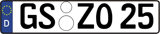 GS-ZO25