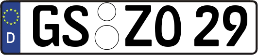 GS-ZO29