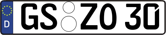 GS-ZO30