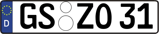 GS-ZO31