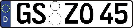 GS-ZO45