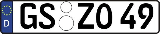 GS-ZO49
