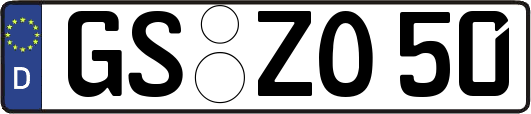 GS-ZO50