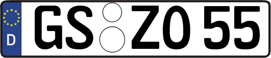 GS-ZO55