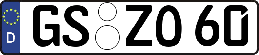 GS-ZO60