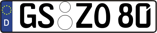 GS-ZO80