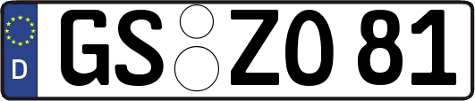 GS-ZO81