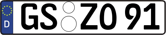 GS-ZO91