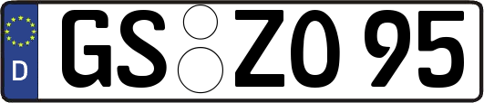 GS-ZO95