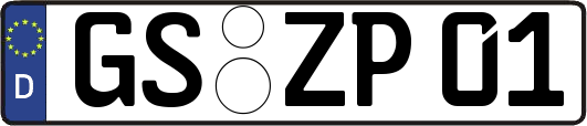 GS-ZP01
