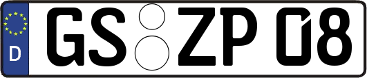 GS-ZP08