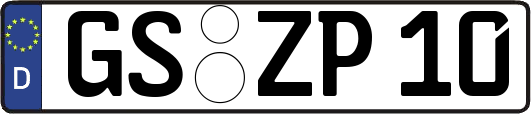 GS-ZP10