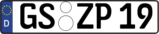 GS-ZP19